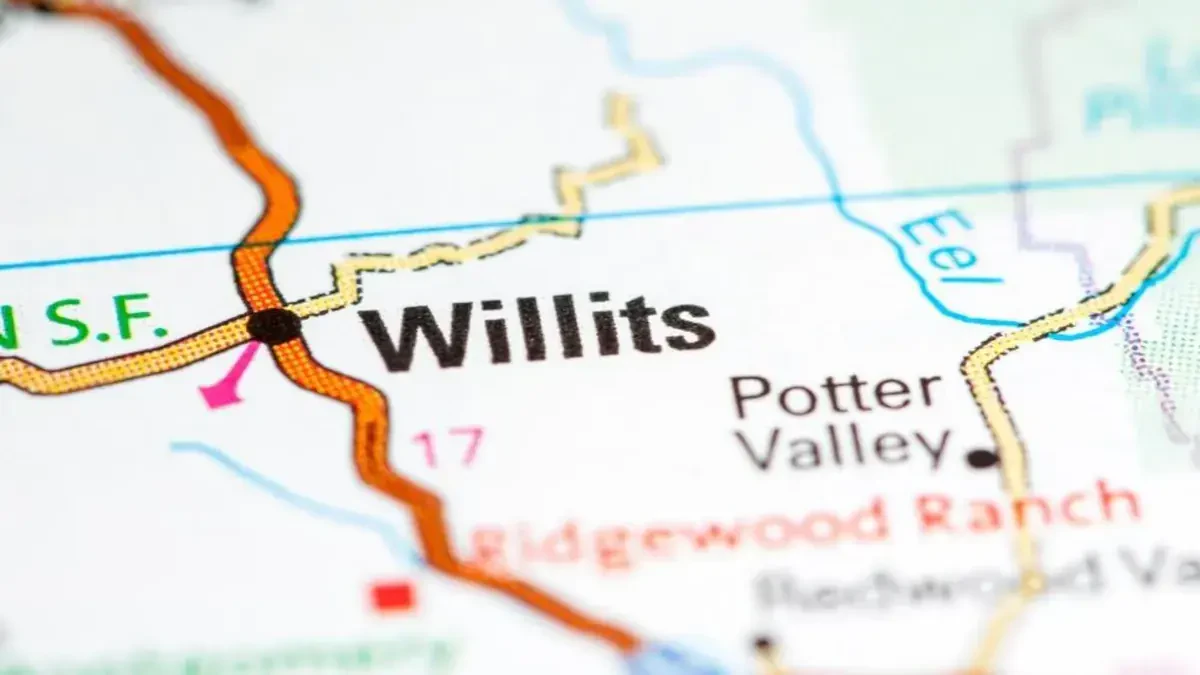 Best Willits Movers Near Me – Premium Willits, CA Moving Companies