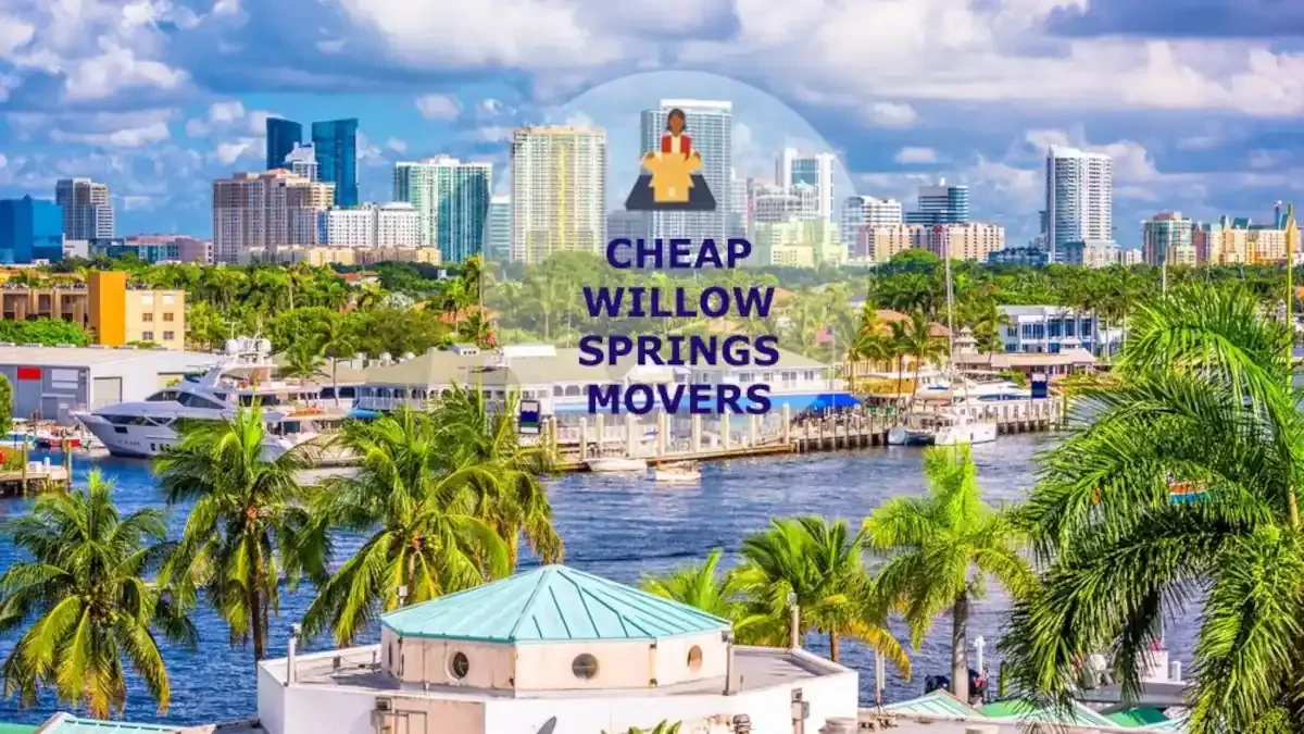 Best Willow Springs Movers Near Me – Premium Willow Springs, IL Moving Companies