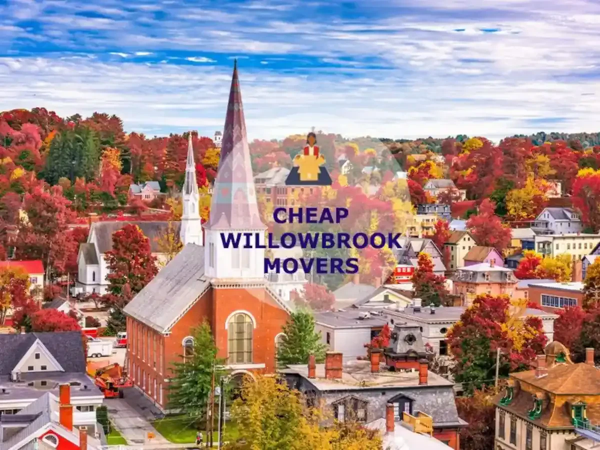 Best Willowbrook Movers Near Me – Premium Willowbrook, IL Moving Companies