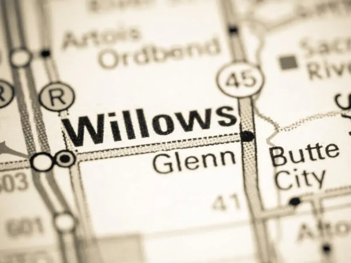 Best Willows Movers Near Me – Premium Willows, CA Moving Companies
