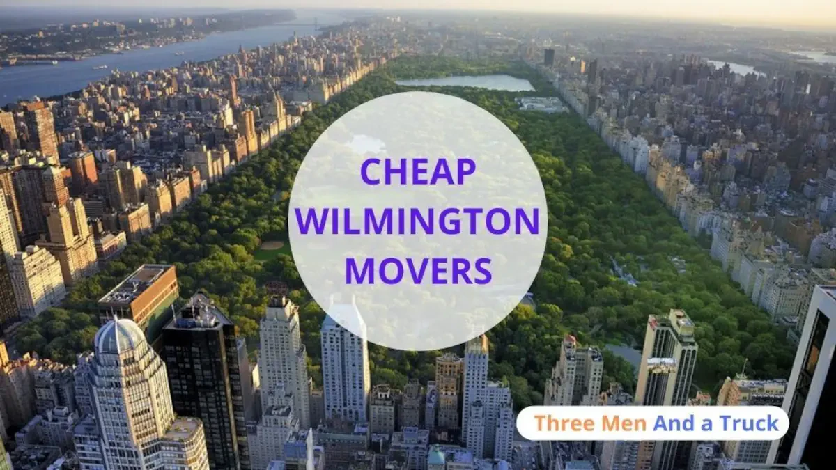 Best Wilmington Movers Near Me Premium Moving Companies
