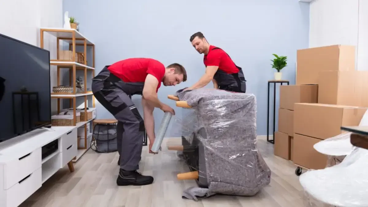 Best Wilmington Island Movers Near Me – Premium Wilmington Island, GA Moving Companies