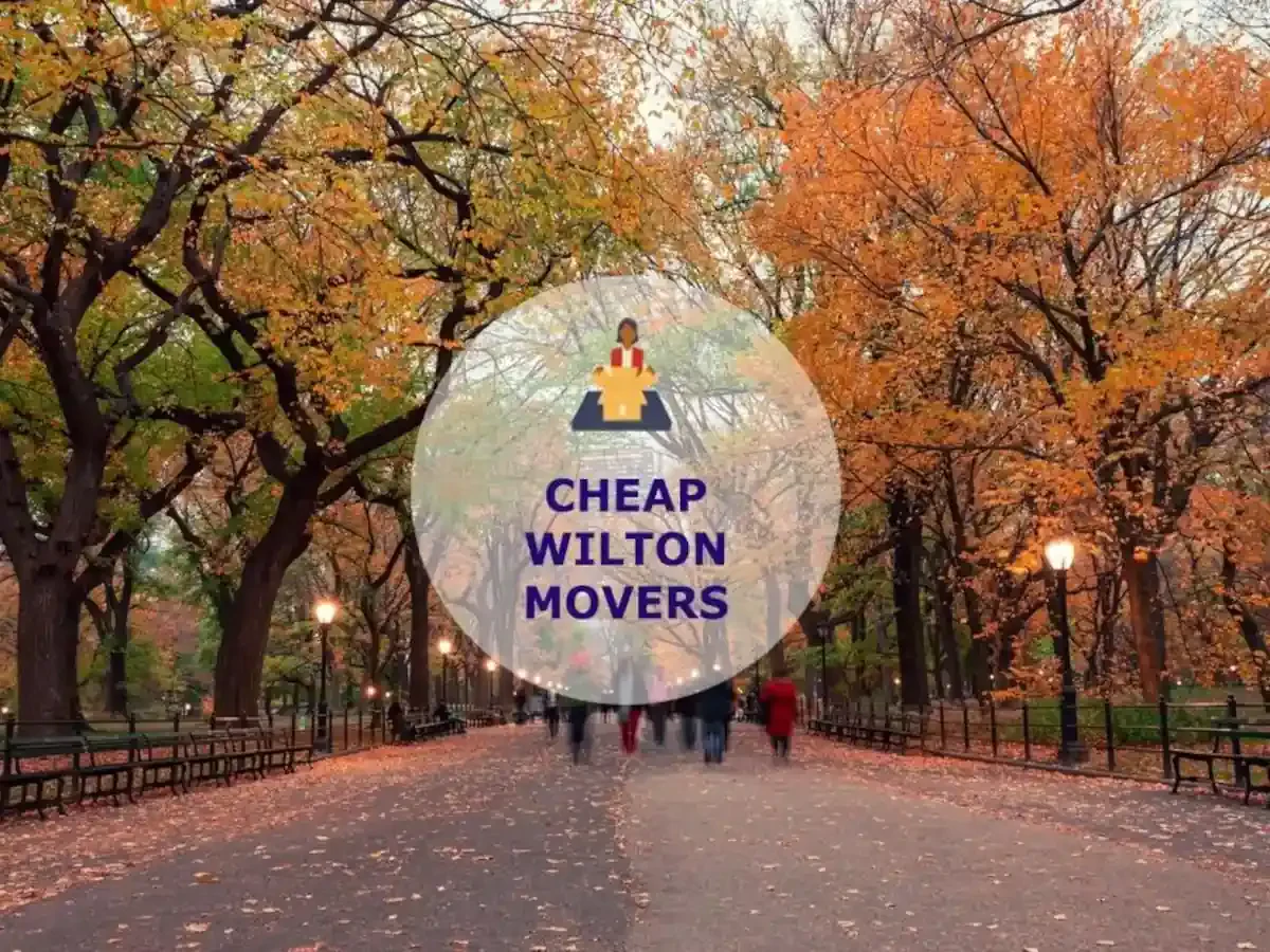 Best Wilton Movers Near Me – Premium Wilton, CT Moving Companies