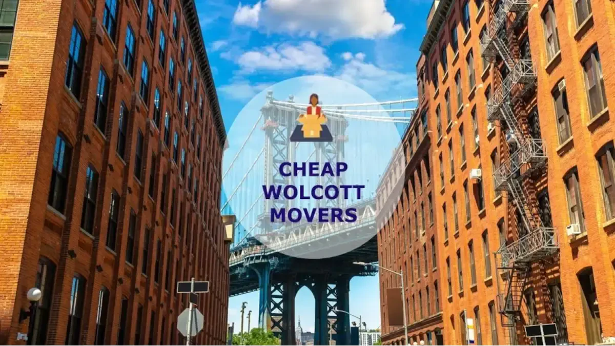 Best Wolcott Movers Near Me – Premium Wolcott, CT Moving Companies