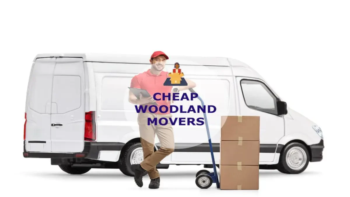 Best Woodland Movers Near Me – Premium Woodland, WA Moving Companies