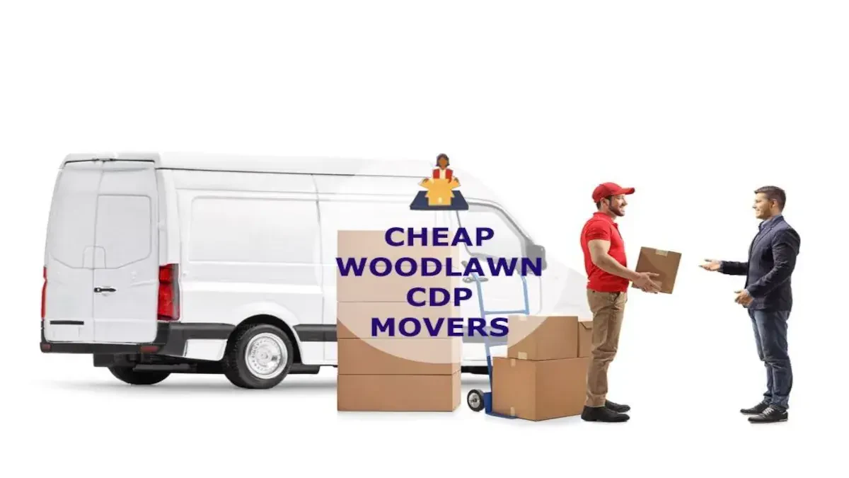 Best Woodlawn CDP Movers Near Me – Premium Woodlawn CDP, MD Moving Companies