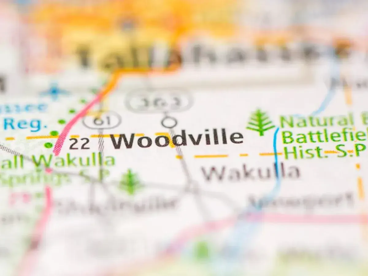 Best Woodville Movers Near Me With Premium Moving Companies