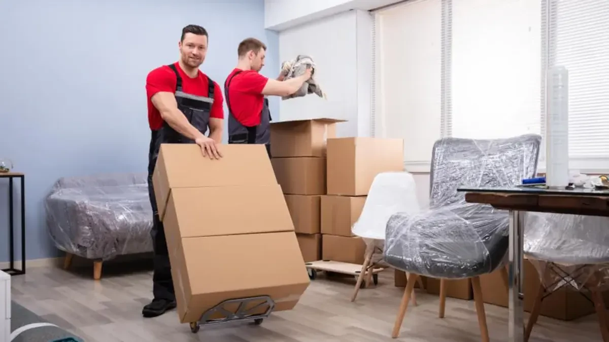 Best Worcester County Movers Near Me – Premium Worcester County, MA Moving Companies