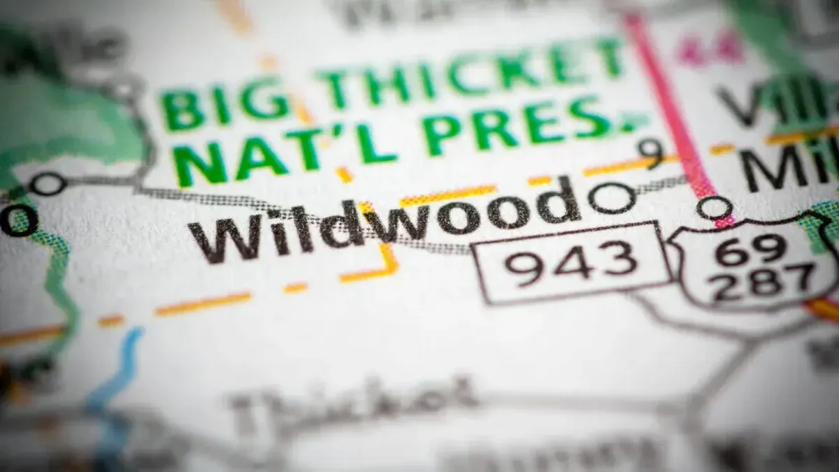 Best Wyldwood Movers Near Me – Premium Wyldwood, TX Moving Companies